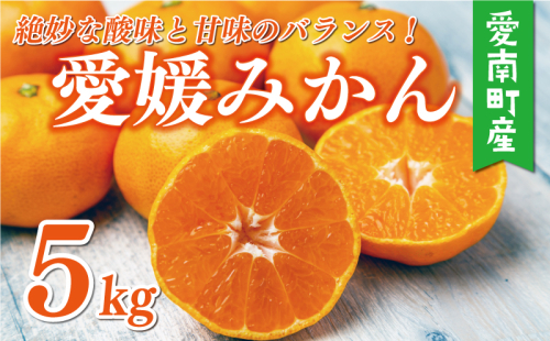 訳あり 愛媛みかん 5kg 7000円 愛媛 みかん 温州みかん 早生 みかん こたつ みかん 温州ミカン 温州 mikan 蜜柑 ミカン 家庭用 贈答用 ギフト プレゼント お歳暮 産地直送 国産 農家直送 糖度 期間限定 数量限定 特産品 ゼリー ジュース アイス 人気 限定 甘い フルーツ 果物 柑橘 ビタミン 美味しい おいしい サイズ ミックス 愛南町 愛媛県 マルハラファーム 1510094 - 愛媛県愛南町