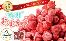 一粒一粒丁寧に。こだわりのいちご。羽衣農園の冷凍あまおうは、そのまま食べてもよし、スムージーやムース、ジャムなど使い方は様々。羽衣農園では、イチゴ栽培の基本を大切にしつつ、より美味しい苺をつくるために