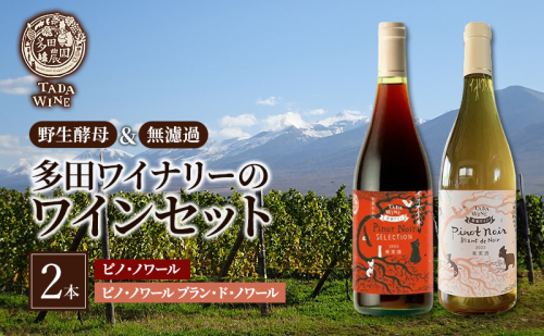 ワイン 【野生酵母】ピノ・ノワールでつくった赤白ワイン2本セット●上富良野の多田ワイナリー 赤ワイン 白ワイン ワインセット 酒 お酒 アルコール 1510149 - 北海道上富良野町
