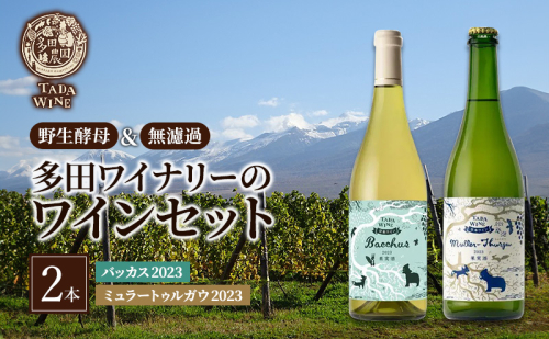 ワイン 【野生酵母】フルーティな白ワイン2本セット●上富良野の多田ワイナリー 白ワイン セット 酒 お酒 アルコール 1510150 - 北海道上富良野町