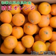 【訳あり・ご家庭用】和歌山由良町産の濃厚清見オレンジ約10kg※2025年2月中旬～2月下旬頃に順次発送予定