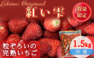 [2025年3月発送] 愛媛県オリジナル品種 紅い雫の冷凍イチゴ 1.5kg いちご 冷凍 甘い苺 イチゴ 苺 ギフト ふるさと納税イチゴ アイスクリーム いちご ジャム スムージー ヨーグルト ストロベリー イチゴ 冷凍いちご 新鮮 果実 果汁 いちご園 すとろべりー 渡辺農園のイチゴ プレゼント 贈答 ふるさと納税苺 数量限定 お菓子作り 完熟いちご 愛媛県オリジナル品種の苺 冷凍苺