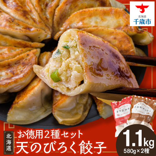 天のびろく 餃子 お徳用 ２種 セット（580ｇ×2） 徳用 冷凍 北海道 千歳 食べ比べ 1510363 - 北海道千歳市