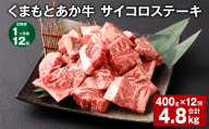 【1ヶ月毎12回定期便】 くまもとあか牛 サイコロステーキ 計約4.8kg（約400g✕12回） 牛肉 お肉 和牛