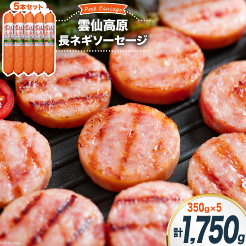 ソーセージ 雲仙高原 長ネギソーセージ 350g 5本 セット [長崎県農産品流通 長崎県 雲仙市 item1898] ボロニアソーセージ 雲仙 ハム 1510628 - 長崎県雲仙市