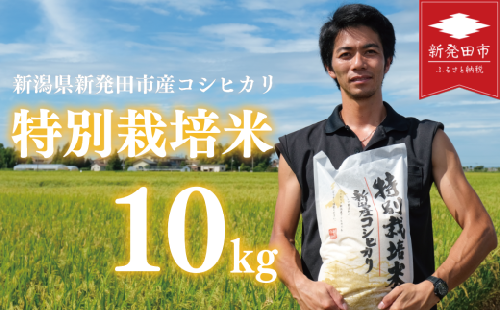 先行予約 コシヒカリ 白米 10kg 令和7年産 特別栽培米 こしひかり 米  お米 こめ 新潟米 新潟県産 新潟産 新潟 新潟県 新発田産 新発田 新発田市 斗伸 toushin012_02