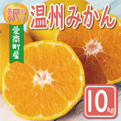 先行予約 訳あり 温州みかん 10kg 12000円 愛媛 みかん こたつ みかん 愛媛みかん ミカン mikan 家庭用 産地直送 国産 農家直送 糖度 果樹園 期間限定 数量限定 特産品 ゼリー ジュース アイス 人気 限定 甘い 果実 果肉 フルーツ 果物 柑橘 蜜柑 先行 事前 予約 受付 ビタミン 健康 おいしい ジューシー 規格外 サイズ ミックス 愛南町 愛媛県 ミッチーのおみかん畑 1510892 - 愛媛県愛南町