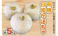 [数量限定/期間限定] 白皮かぼちゃ (有機) 5kg[黒澤農園]|伯爵 南瓜 カボチャ 国産 産地直送 煮物 サラダ スイーツ 甘楽町産 [0220]