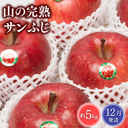 12月 吹田りんご園 山の完熟サンふじ約5kg 【吹田りんご園・青森りんご・平川市広船産・12月】 1511073 - 青森県平川市