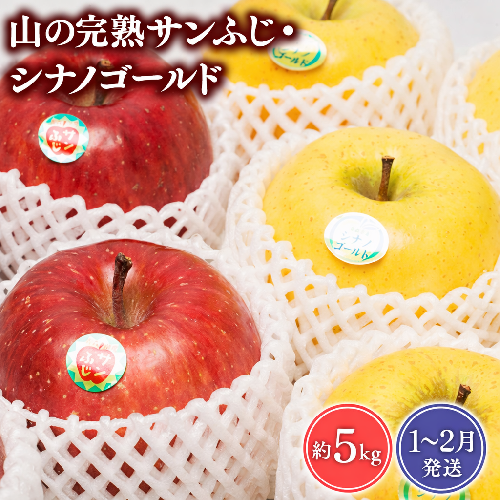【2027年1～2月発送】吹田りんご園 山の完熟サンふじ・シナノゴールド約5kg【吹田りんご園・青森りんご・平川市広船産・1月・2月】 1511079 - 青森県平川市
