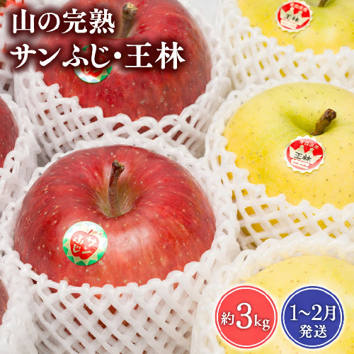 【2027年1～2月発送】 吹田りんご園　山の完熟サンふじ・王林約3kg【吹田りんご園・青森りんご・平川市広船産・1月・2月】 1511083 - 青森県平川市