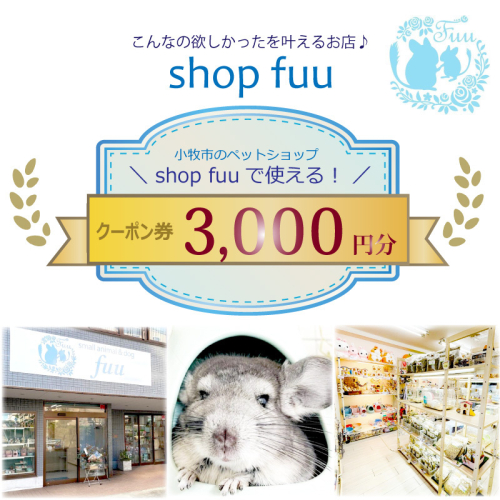 shop fuuで使えるクーポン券（3,000円）［145S74］ 1511154 - 愛知県小牧市