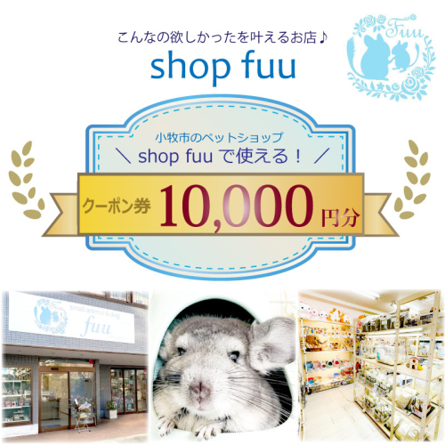 shop fuuで使えるクーポン券（10,000円）［145S77］ 1511157 - 愛知県小牧市