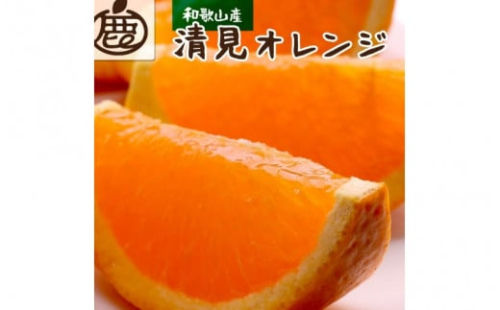 ＜2月より発送＞厳選 清見オレンジ2.5kg+75g（傷み補償分）【光センサー食頃出荷】【樹上完熟きよみオレンジ・清見タンゴール・清美】 ※北海道・沖縄・離島への配送不可【ikd165】 1511417 - 和歌山県北山村