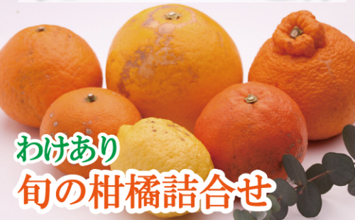 家庭用 柑橘詰合せ2kg+60g（傷み補償分）【訳あり・わけあり】【有田の春みかん詰め合わせ・フルーツ詰め合せ・オレンジつめあわせ】【光センサー選別】【ikd184】 1511419 - 和歌山県北山村