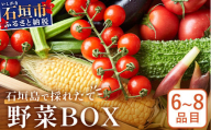 石垣島産 野菜BOX　1箱【６~８種類】野菜パワーをあなたに！！CK-1