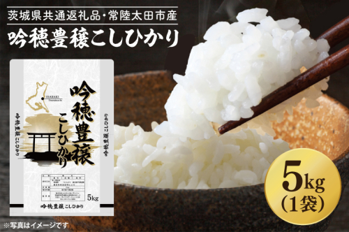 ＜令和6年産＞ 新米 吟穂豊穣こしひかり 5kg 精米 特別栽培 (茨城県共通返礼品・常陸太田市産) 新米 コシヒカリ こしひかり 米 ごはん コメ お米 白米 国産 茨城県産
 1511599 - 茨城県大洗町