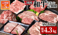 2607 和牛を楽しむ５回定期便 【和牛 国産 冷凍 小分け 牛肉 ステーキ 食べ比べ お楽しみ 定期便】