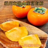 和歌山秋の味覚　富有柿　約7.5kg　※2024年11月上旬～11月下旬頃に順次発送予定