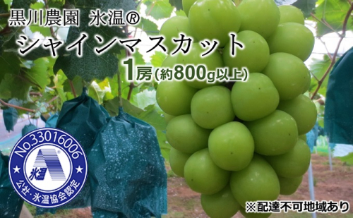 早期受付 ぶどう 氷温(登録商標) シャイン マスカット 1房（約800g以上） マスカット ブドウ 葡萄 岡山県産 国産 フルーツ 果物 ギフト 黒川農園 果物類 シャインマスカット  151198 - 岡山県高梁市