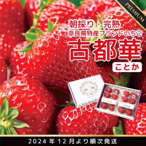 先行予約 朝採り 完熟 12月より順次発送奈良県特産 朝採り高級ブランドいちご「古都華」 // いちご イチゴ 古都華 フルーツ 果物 旬 限定  ブランド 朝採り 完熟 いちご ことか イチゴ 先行予約 古都華 数量限定 古都華 甘い 先行受付 予約 1512191 - 奈良県広陵町