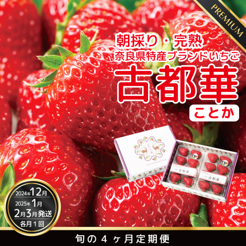 【数量限定】【先行予約】【12・1・2・3月発送】奈良県特産 高級ブランドいちご「古都華」旬の４ヶ月定期便  1512487 - 奈良県広陵町