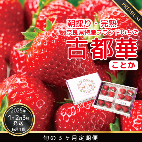 【数量限定】【先行予約】【1・2・3月発送】奈良県特産 高級ブランドいちご「古都華」旬の３ヶ月定期便 // いちご イチゴ 古都華 フルーツ 果物 旬 限定 ブランド 定期便 【数量限定】【12月より順次発送】奈良県特産 高級ブランドいちご「古都華」 1512488 - 奈良県広陵町