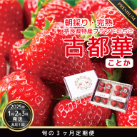 【数量限定】【先行予約】【1・2・3月発送】奈良県特産 高級ブランドいちご「古都華」旬の３ヶ月定期便 // いちご イチゴ 古都華 フルーツ 果物 旬 限定 ブランド 定期便 【数量限定】【12月より順次発送】奈良県特産 高級ブランドいちご「古都華」