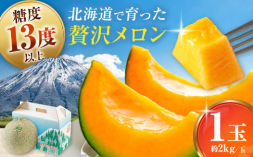 【先行予約】ようていメロン 赤肉 1玉 (約2kg/玉)《喜茂別町》【Aコープようてい】 メロン めろん 赤肉 赤肉メロン 贈答 贈答用 贈答品 贈り物 先行予約 デザート フルーツ 果物 常温 常温配送 北海道 甘い ギフト プレゼント 産直 贅沢 ぜいたく ご褒美 特別 季節限定 期間限定 [AJAK023] 9000 9000円 9千円 1512514 - 北海道喜茂別町