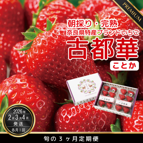 【数量限定】【先行予約】【2・3・4月発送】奈良県特産 高級ブランドいちご「古都華」旬の３ヶ月定期便 // いちご イチゴ 古都華 フルーツ 果物 旬 限定 ブランド 定期便  1512549 - 奈良県広陵町