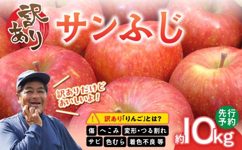 <先行予約>【訳あり】サンふじ10kg 28～40玉【2024年12月中旬発送予定】 【054-003】 1512605 - 山形県大江町