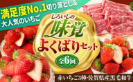 【先行予約】【全6回定期便】しろいしの味覚よくばりセット（赤いちご3種と佐賀県産黒毛和牛） [IZZ021]