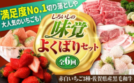 【先行予約】【全6回定期便】しろいしの味覚よくばりセット（赤白いちご3種と佐賀県産黒毛和牛） [IZZ023]