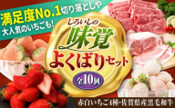 【先行予約】【全10回定期便】しろいしの味覚よくばりセット（赤白いちご4種と佐賀県産黒毛和牛） [IZZ024]