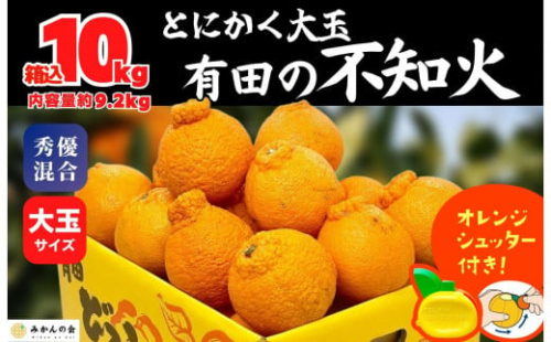 不知火 大玉 どっこいしょ 箱込 10kg (内容量約 9.2kg) 秀優混合 和歌山県産［みかんの会］ 1512799 - 和歌山県有田川町