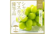 ＜25年発送先行予約＞ 山梨県笛吹市産 シャインマスカット 優等品 約1kg 2～3房 【ご家庭用】 105-025