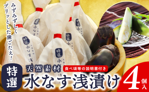 【先行予約】「特選最上級品」天然素材水なす浅漬け4個入 099H3085 1512931 - 大阪府泉佐野市