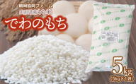 令和6年産 山形県産もち米「でわのもち」5kg（5kg×1袋） 鶴岡協同ファーム