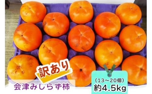 会津身しらず柿 (訳あり・家庭用) 約4.5kg (13個から20個入り) 渡部柿園産｜会津若松 訳アリ 果物 フルーツ 柿 みしらず かき カキ 会津身不知柿 令和7年 2025年 旬 [0937]