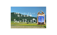 ＜毎月定期便＞長野県白馬村産ミルキークイーン精米5kg全12回【4058044】