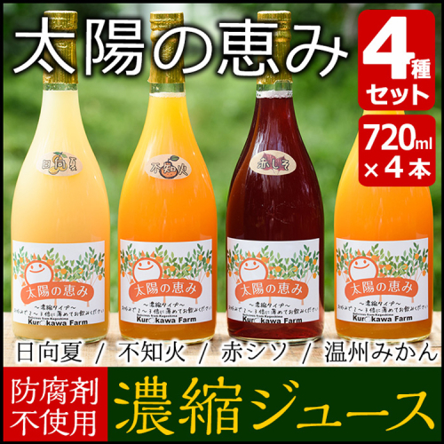 No.196 太陽の恵み 濃縮ジュース(4本セット)不知火 日向夏 温州みかん 赤シソ【黒川農園】 15133 - 鹿児島県日置市
