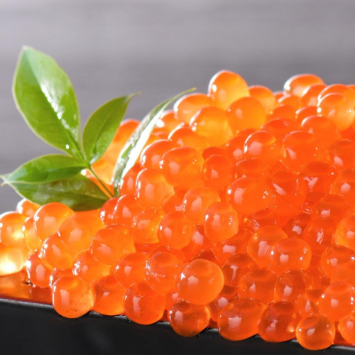 数量限定価格据置!贅沢堪能!北海道産 鮭いくら醤油漬け3.0kg ...
