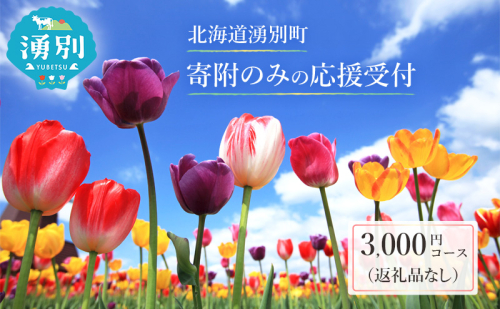 北海道湧別町 寄附のみの応援受付 3,000円コース（返礼品なし 寄附のみ 3000円） 1513545 - 北海道湧別町