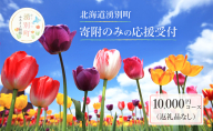 北海道湧別町 寄附のみの応援受付 10,000円コース(返礼品なし 寄附のみ 10000円)