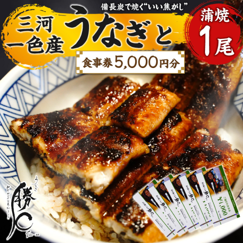 【備長炭で焼く“いい焦がし”】三河一色産うなぎの蒲焼１尾と「勝〇食事券5,000円分」鰻 ウナギ 蒲焼 たれ タレ 国産 備長炭 土用 丑の日 冷凍 三河一色産 食事券 H189-006 1513885 - 愛知県碧南市