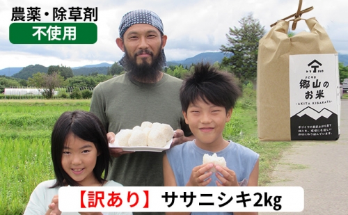 訳あり！2kg×1袋 農薬不使用のササニシキ（玄米） 151424 - 秋田県にかほ市