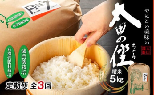 【定期便　全3回】『太田のちから』5kg　減農薬栽培・有機質肥料栽培のコシヒカリ 1514337 - 和歌山県那智勝浦町