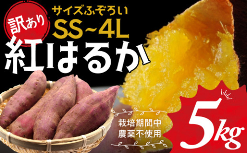 ≪訳あり≫ 栽培期間中農薬不使用 サツマイモ 5kg 紅はるか 無農薬 さつまいも サツマイモ ワケアリ ワケアリ わけありさつまいも詰め合わせ 芋 いも 三重県 多気町 GE‐01　 1514466 - 三重県多気町