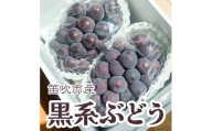 [25年発送先行予約]黒系ぶどう2房(合計1kg程度) 229-005