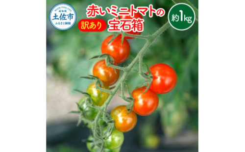 訳あり 赤いミニトマトの宝石箱 約1キロ 約1kg トマト とまと ミックス 詰め合わせ セット 野菜 料理 サラダ マリネ パスタ 浅漬け おやつ 弁当 甘味 酸味 新鮮 訳アリ 家庭用 ご自宅用 1514625 - 高知県土佐市